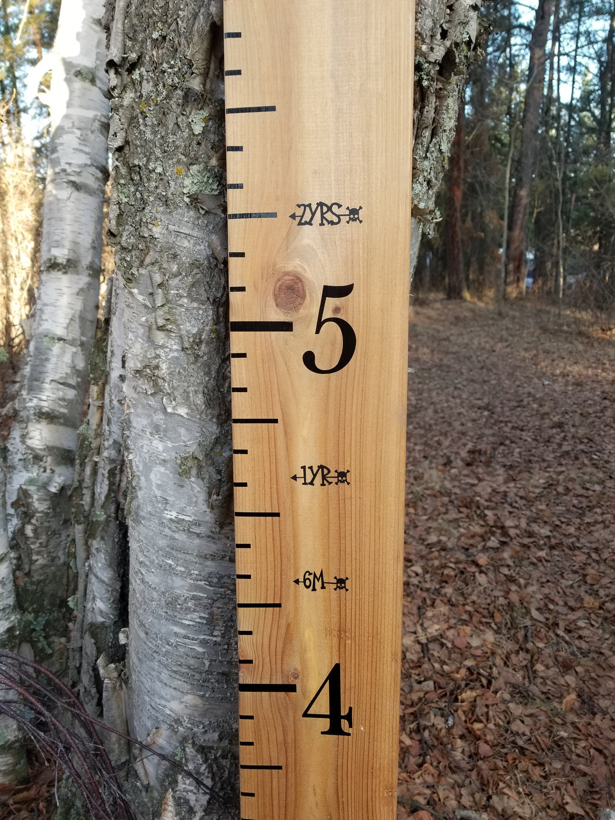 A Skull n' Bonez Height Marking Arrows hanging on a tree in the woods.