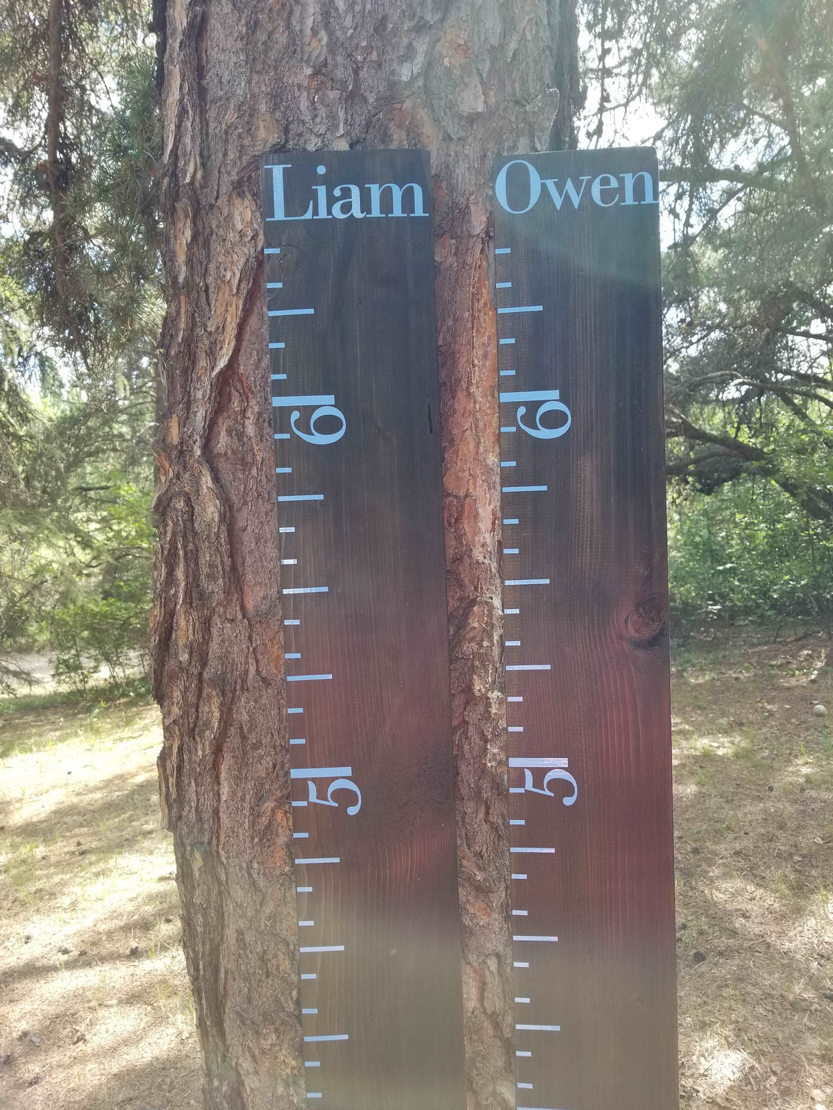 A Little Prairie Craft Co. wooden growth chart with the name Liam Owen on it.