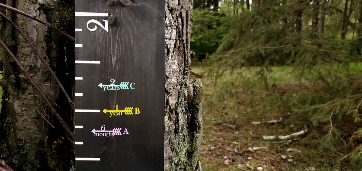 A Little Prairie Craft Co. wooden growth chart on a tree in the woods, called Classic with Initial Height Marking Arrows.