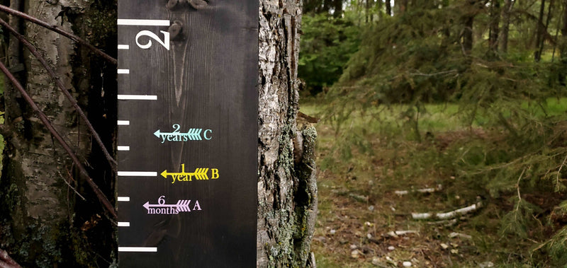 A Little Prairie Craft Co. wooden growth chart on a tree in the woods, called Classic with Initial Height Marking Arrows.