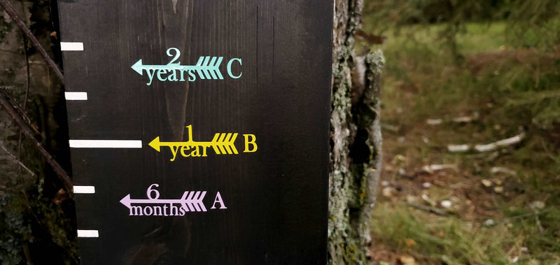 Arrows on a tree with Classic with Initial Height Marking Arrows pointing in different directions, courtesy of Little Prairie Craft Co.