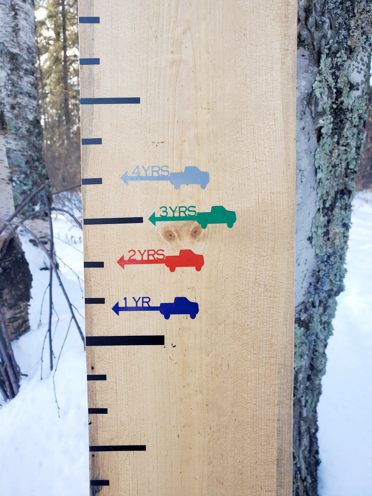 A Truck Height Marking Arrows growth chart in the woods by Little Prairie Craft Co.