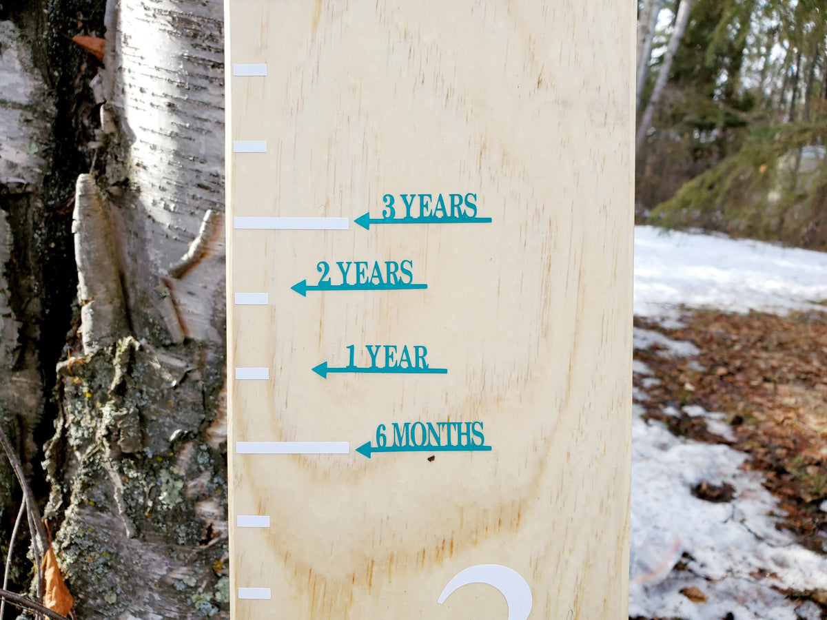 A Little Prairie Craft Co. wooden growth chart on a tree in the woods with Modern Basic Height Marking Arrows.