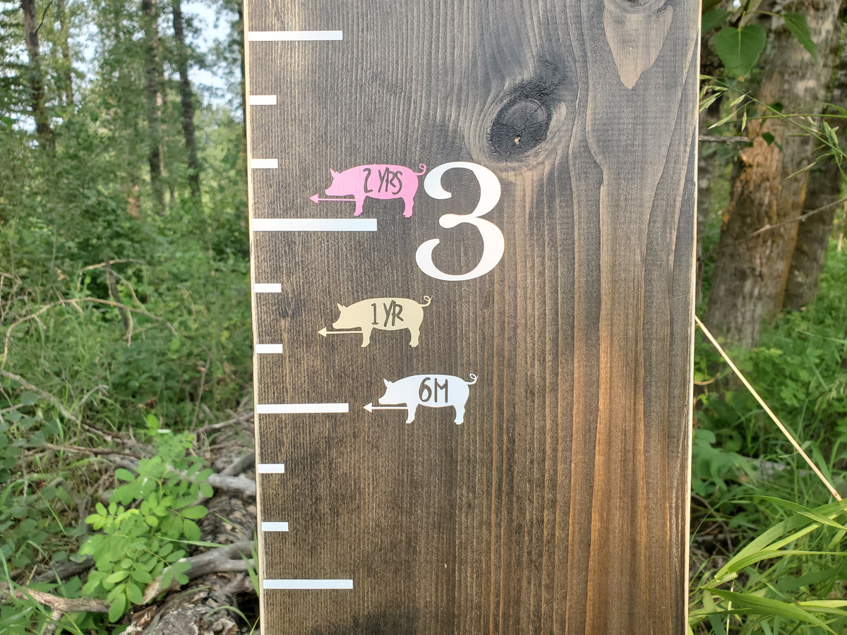 A Piggie Height Marking Arrows growth chart with pigs on it by Little Prairie Craft Co.