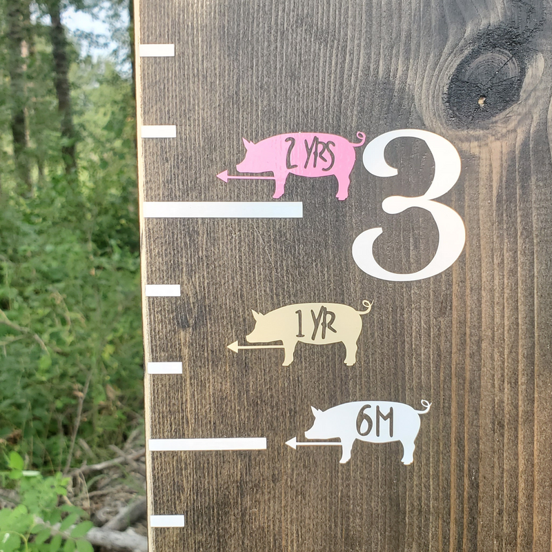 A Little Prairie Craft Co. wooden growth chart with Piggie Height Marking Arrows on it.