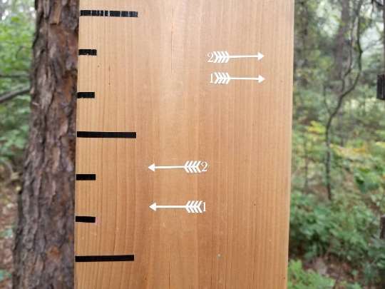 A Classic Skinny Height Marking Arrows ruler by Little Prairie Craft Co. in the woods.