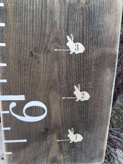 A Bunny Height Marking Arrows growth chart with rabbits on it from Little Prairie Craft Co.