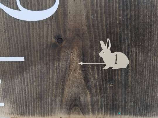 A wooden sign with Bunny Height Marking Arrows and the Little Prairie Craft Co. brand on it.