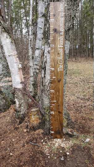 A Little Prairie Craft Co. wooden growth chart next to a tree in the woods.