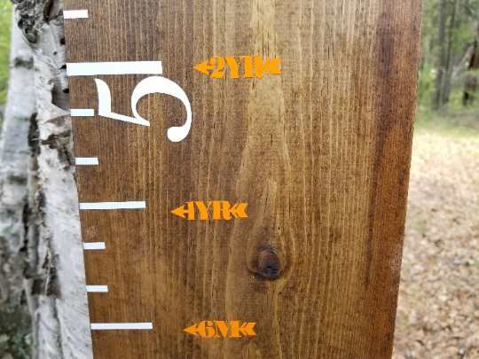 A Little Prairie Craft Co. wooden growth chart with Chunky Skinny Height Marking Arrows on it.