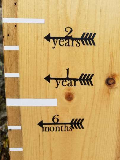 A Classic Height Marking Arrows growth chart with arrows on it from Little Prairie Craft Co.