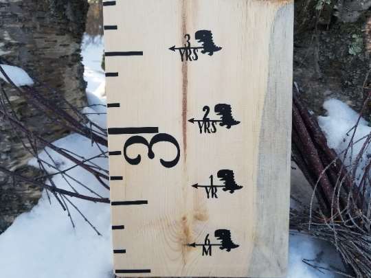 A Cutie Dino Height Marking Arrows growth chart with silhouettes of a cowboy and a moose by Little Prairie Craft Co.