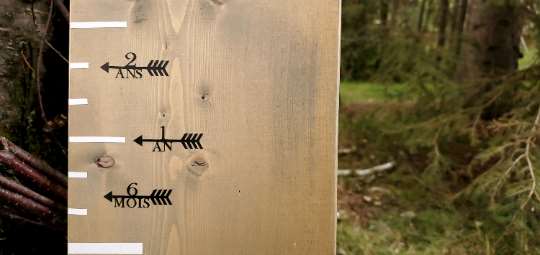 A wooden board with Classic Height Marking Arrows from Little Prairie Craft Co. on it in the woods.