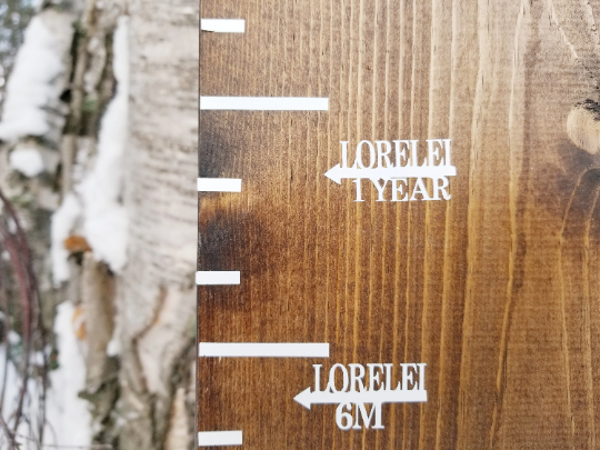 A Personalized Simple Growth Chart Markers with the word lorela by Little Prairie Craft Co.