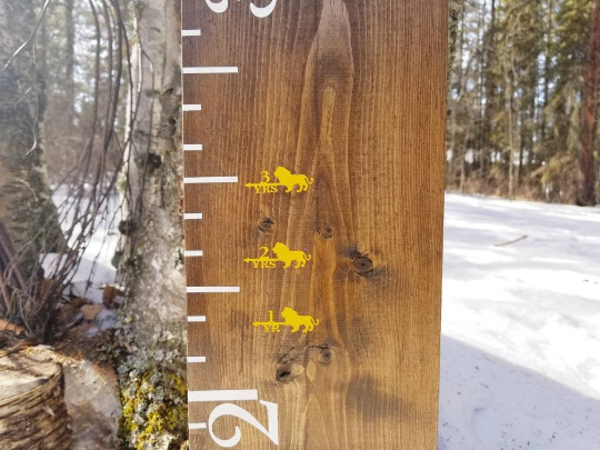 A wooden ruler with Lion Height Marking Arrows on it in the snow, made by Little Prairie Craft Co.