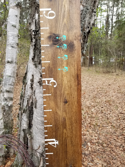 A Dolphin Height Marking Arrows growth chart on a tree in the woods by Little Prairie Craft Co.