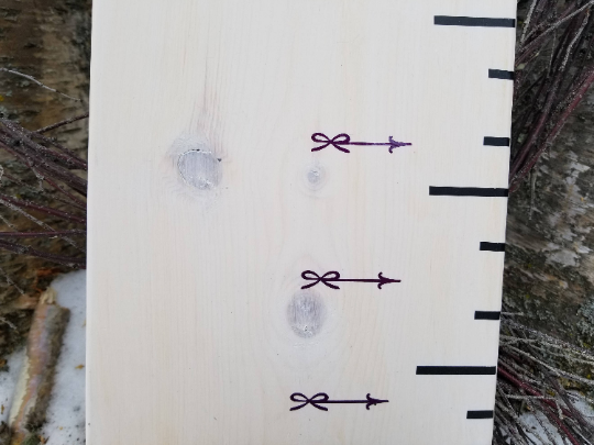 A Little Prairie Craft Co. wooden growth chart with Lil Mini Bow Height Marking Arrows on it.