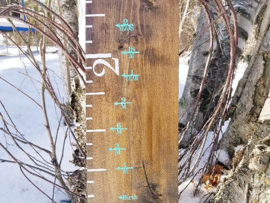 A Little Prairie Craft Co. wooden growth chart in the snow featuring Every Age Milestone Height Marking Arrows.