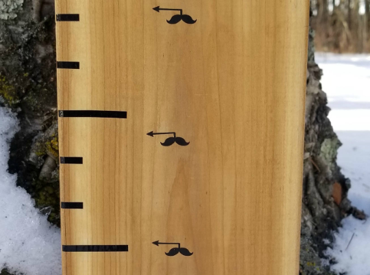 A Mini Moustache Height Marking Arrows on a tree in the snow, made by Little Prairie Craft Co.