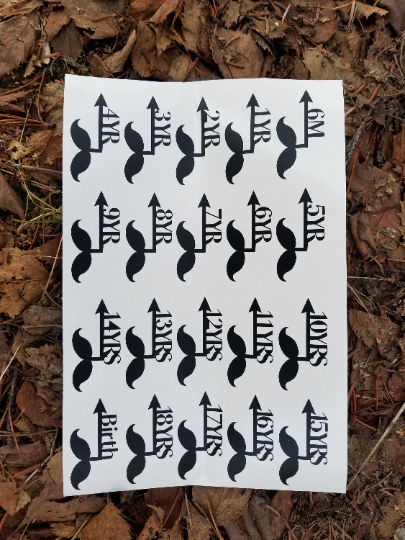 A Moustache Height Marking Arrows sticker from Little Prairie Craft Co. laying on the ground.