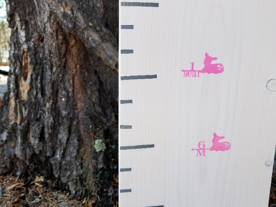 A Fawn Height Marking Arrows growth chart next to a tree.