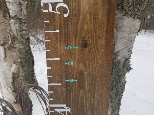 A Pretty Little Heart Height Marking Arrows from Little Prairie Craft Co. on a tree in the snow.