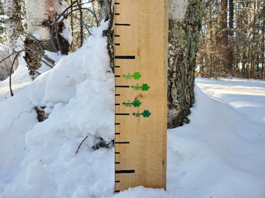A snow covered tree with a Frog/Toad Leap Year Height Marking Arrows by Little Prairie Craft Co. in the snow.