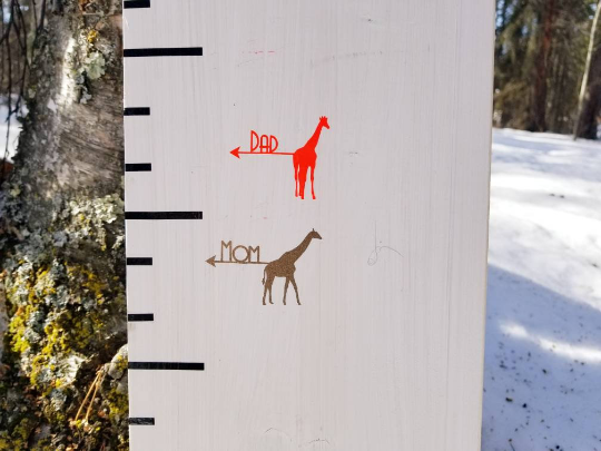 A parent giraffe and a parent giraffe on a Little Prairie Craft Co. wooden growth chart.