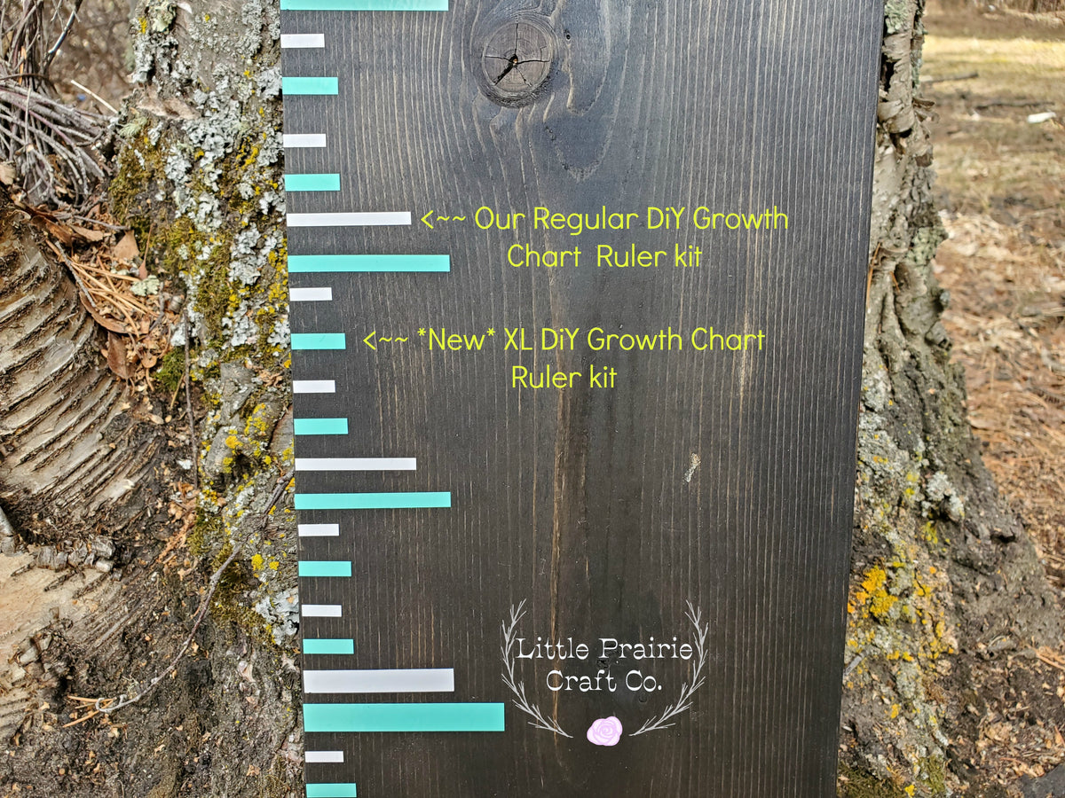 A Little Prairie Craft Co. Original DIY Growth Chart Vinyl Ruler Kit hanging on a tree.