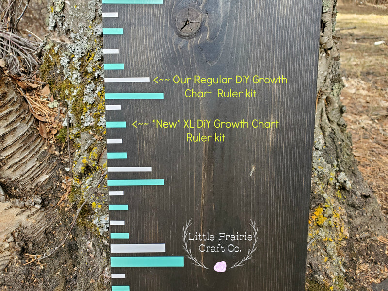 A Little Prairie Craft Co. Original DIY Growth Chart Vinyl Ruler Kit hanging on a tree.