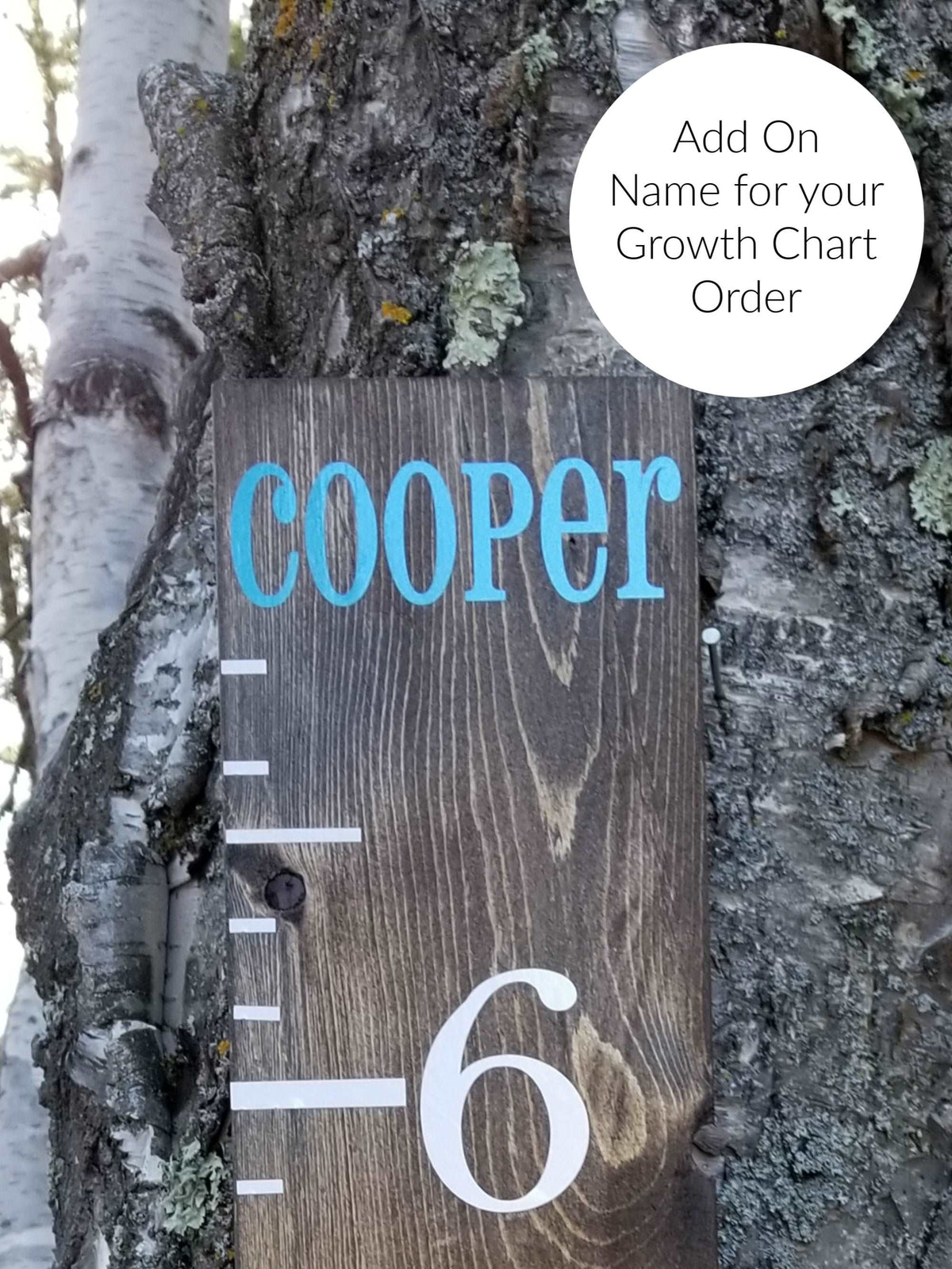A Little Prairie Craft Co. wooden growth chart with the word cooper on it.