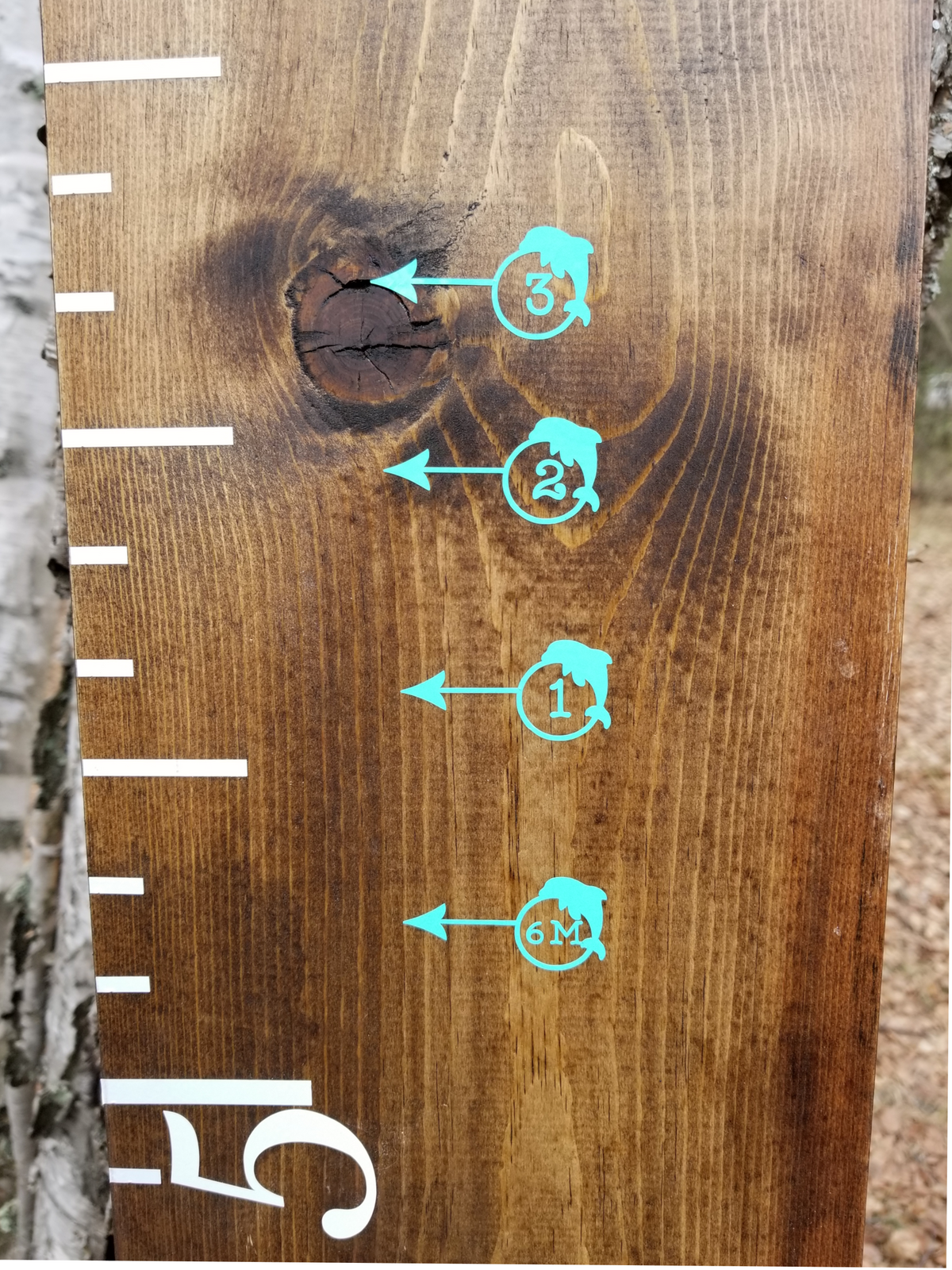 A Little Prairie Craft Co. wooden growth chart with Dolphin Height Marking Arrows on it.