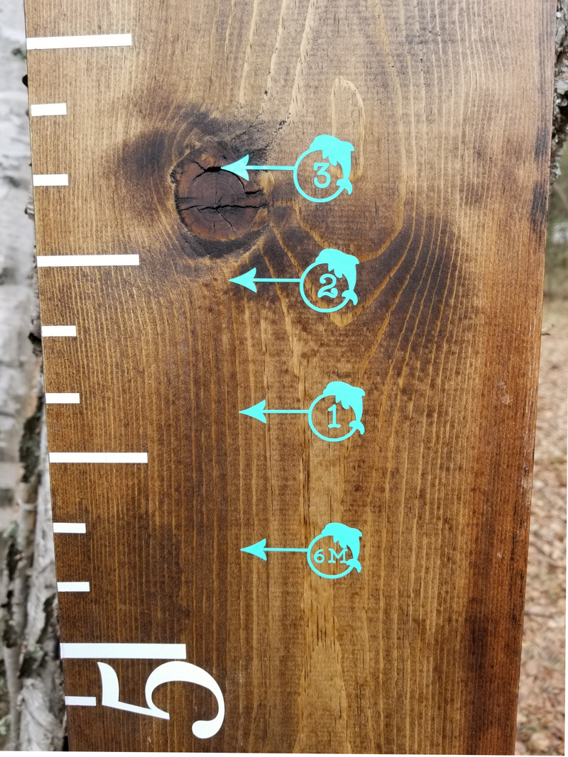 A Little Prairie Craft Co. wooden growth chart with Dolphin Height Marking Arrows on it.