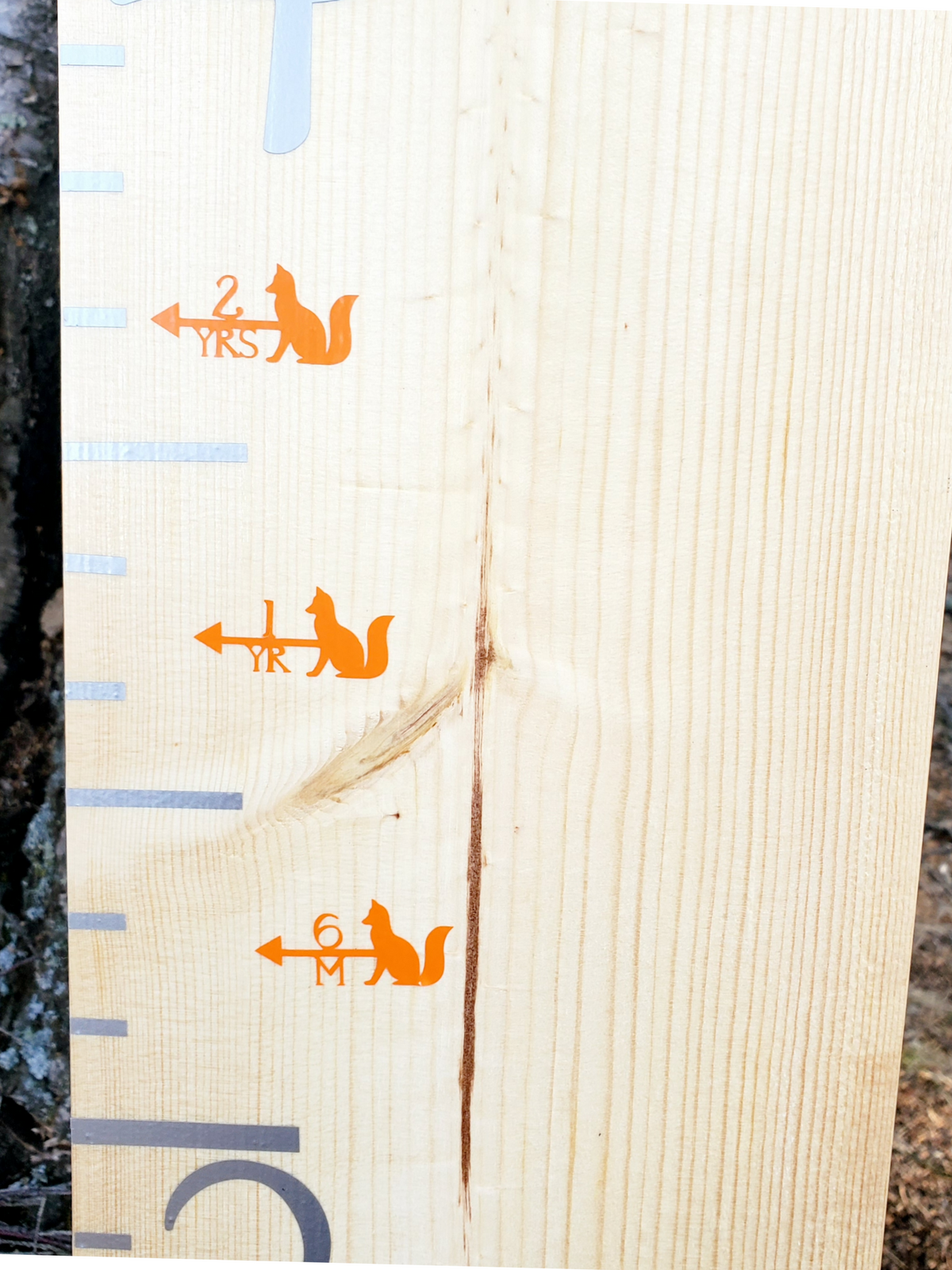 A Fox Height Marking Arrows ruler with arrows and arrows on it from Little Prairie Craft Co.