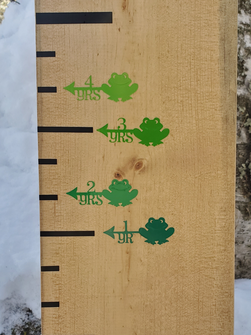 A Frog/Toad Leap Year Height Marking Arrows growth chart with green frogs on it by Little Prairie Craft Co.