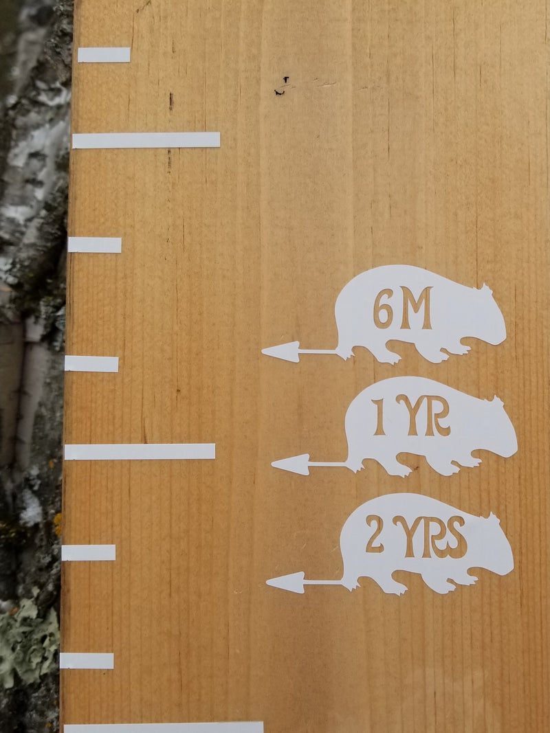 A Wombat Height Marking Arrows with a rat and a mouse on it made by Little Prairie Craft Co.
