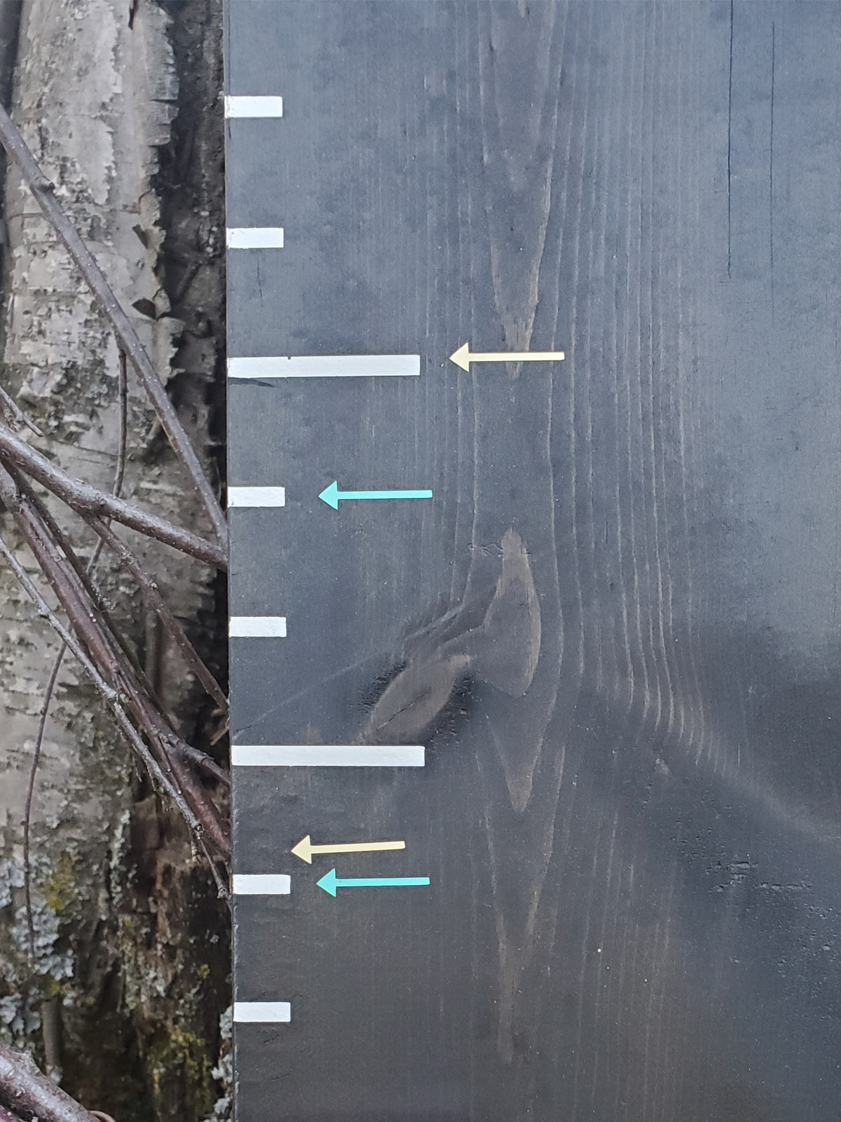 A ruler with Lil Plain Height Marking Arrows by Little Prairie Craft Co. next to a tree.