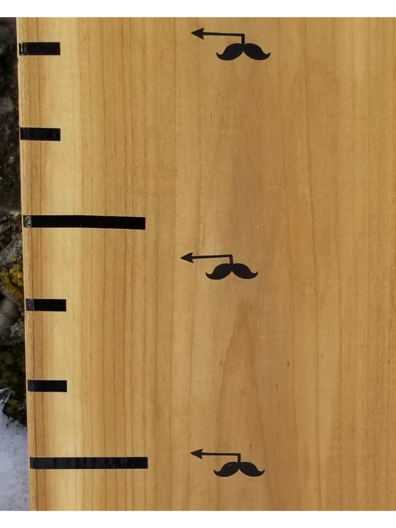 A Little Prairie Craft Co. wooden growth chart with Mini Moustache Height Marking Arrows on it.